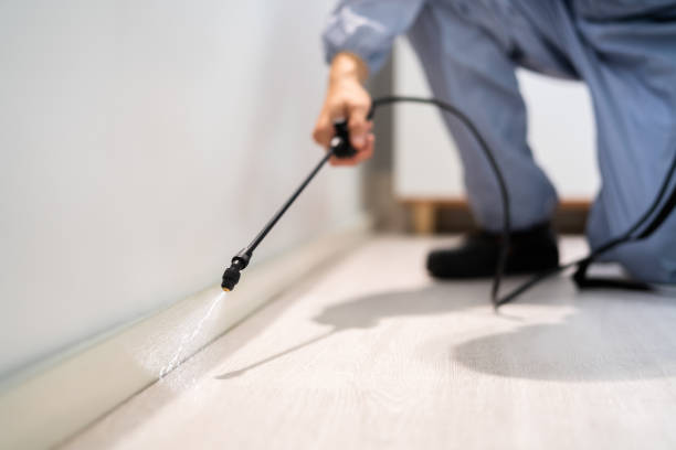 Professional exterminator conducting IPM assessment in Clyde